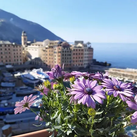 Pensjonat La Mansarda Sul Porto 4*