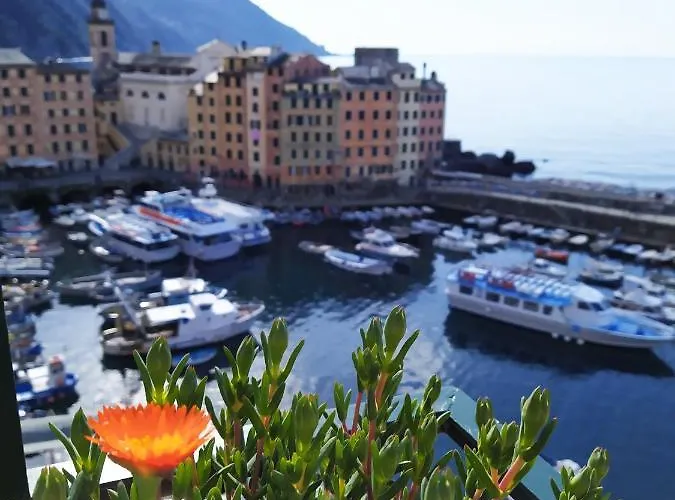 La Mansarda Sul Porto Maison d'hôtes Camogli
