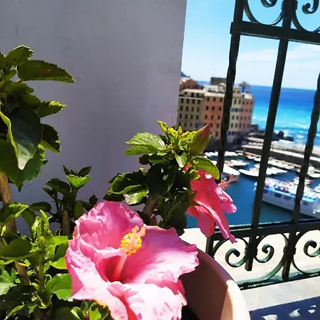 La Mansarda Sul Porto Guest house